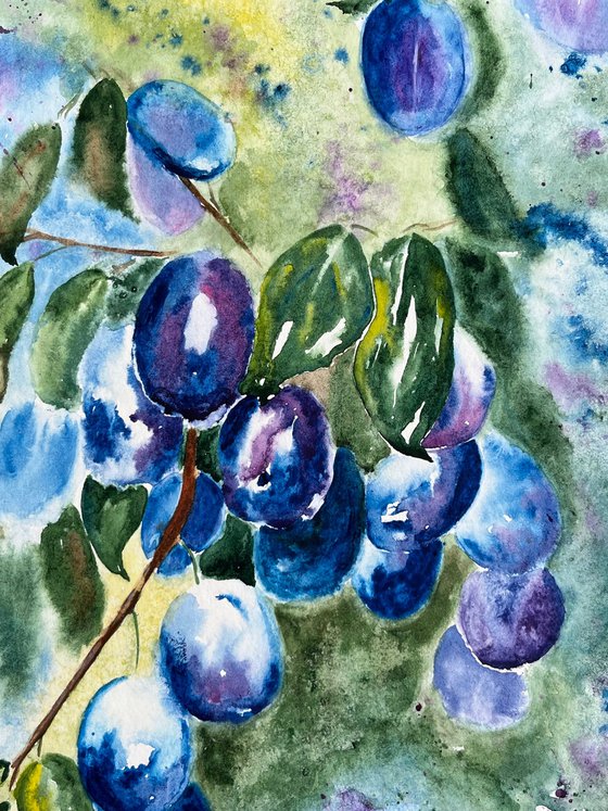 Plums painting