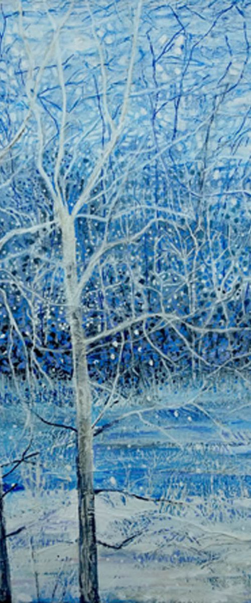 Winter Trees by Roz Edwards