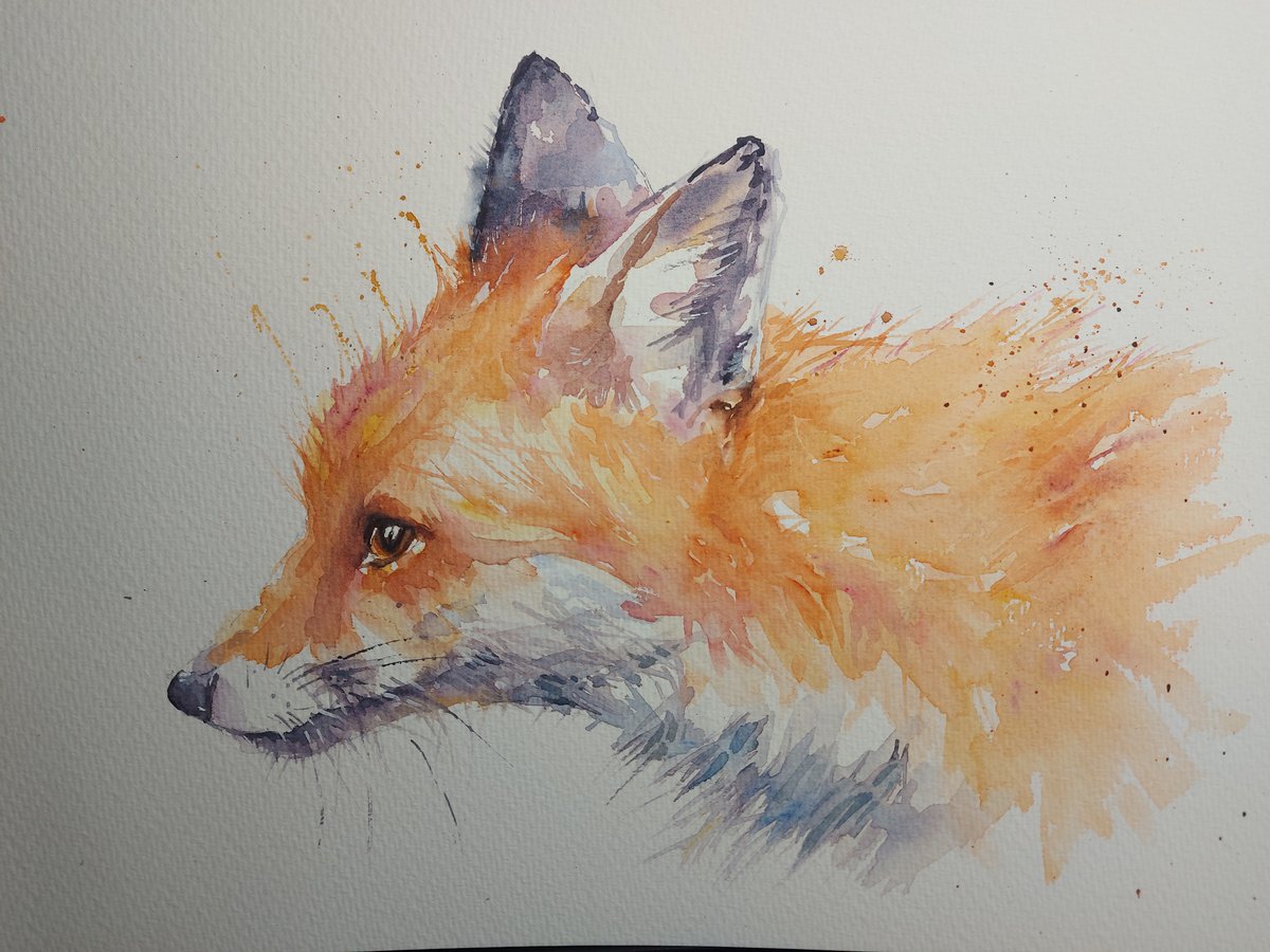 Fox in watercolour by Sue  Green