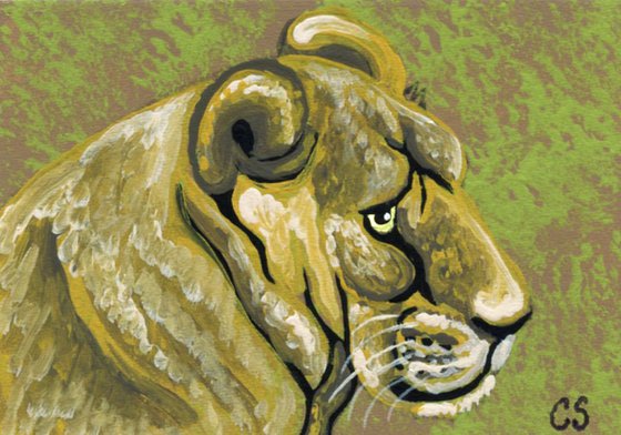 ACEO ATC Original Painting Lioness Big Cat Wildlife Art-Carla Smale