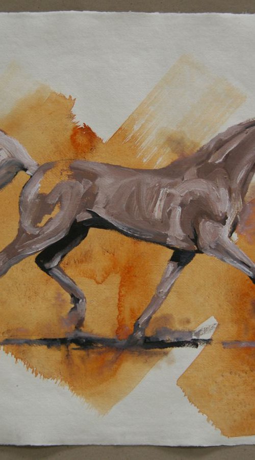 Arabian III (study) by Zil Hoque