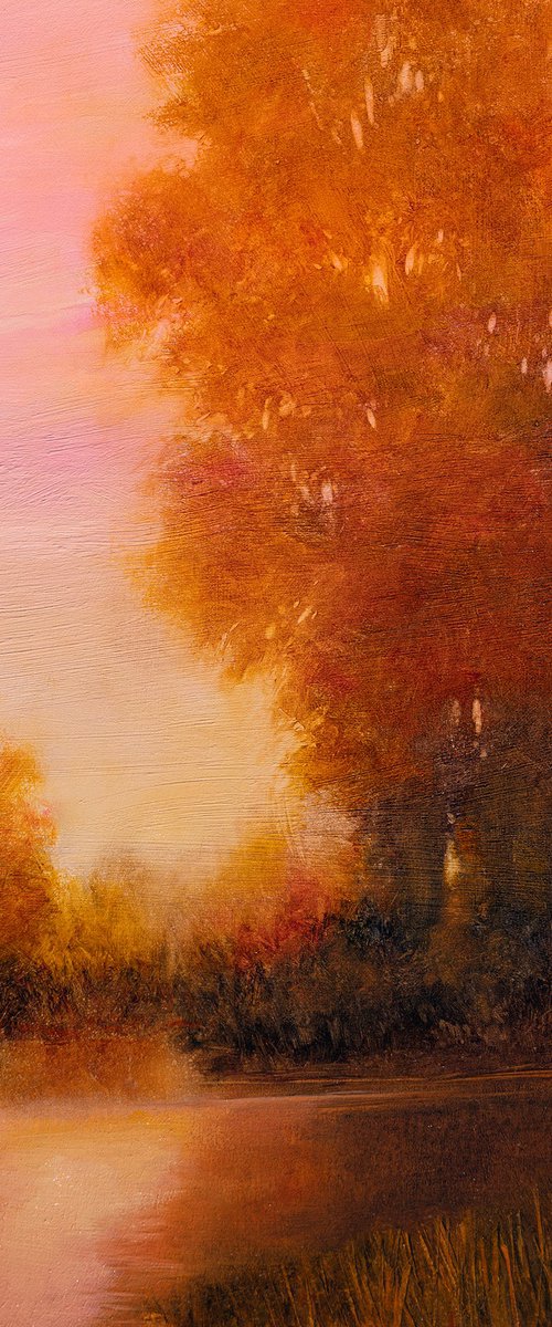 Pond Sunset 260117 by Don Bishop