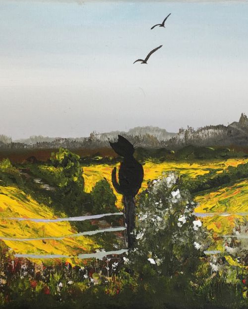 Rapeseed fields and the cat by Marja Brown