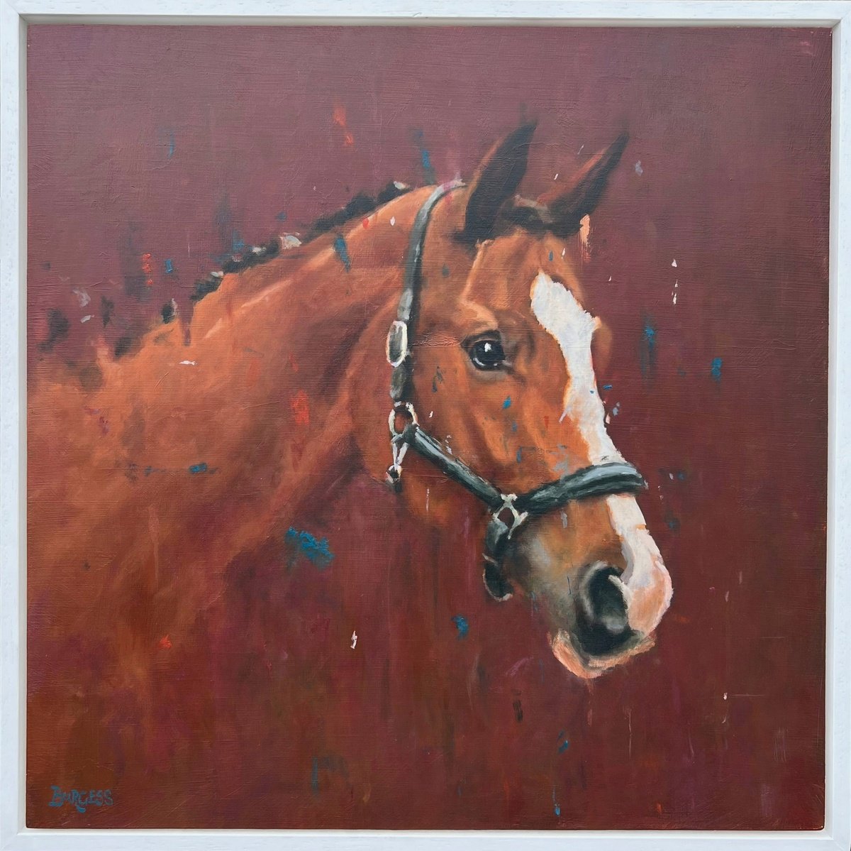 A Horse Called Ruby by Shaun Burgess