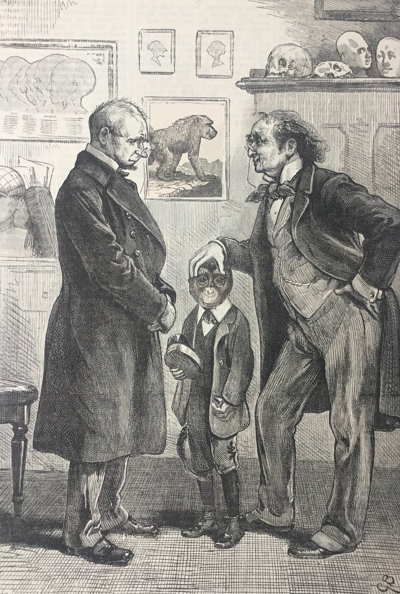 Surrealistic Portrait Collage By Tudor Evans, 7 X 10", A Difficult Boy, Original Artwork