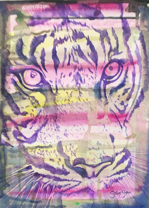 Tiger. ( watercolour on paper) Free Shipping by Steven Shaw