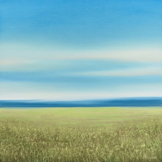 Green Grass - Blue Sky Landscape