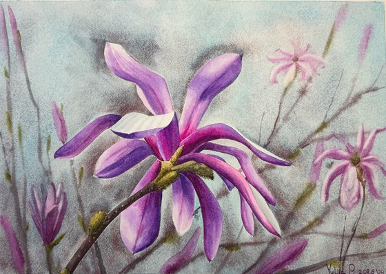 Magnolia watercolor flowers №2
