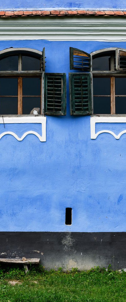 Transylvanian Blue Saxon Facade by Tom Hanslien