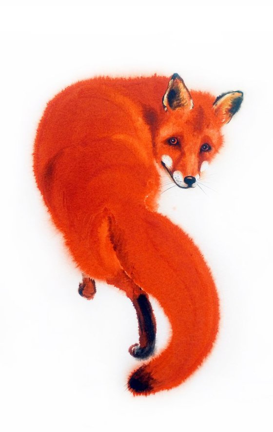 Red Fox Watercolor – wildlife - wild animals - foxy