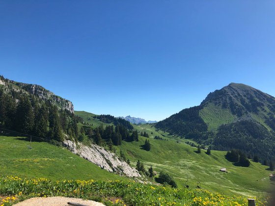 View from Les Fers - Leysin