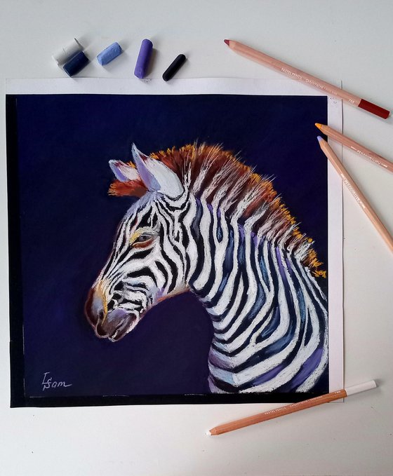 Zebra