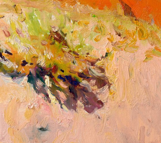 Morning. Desert