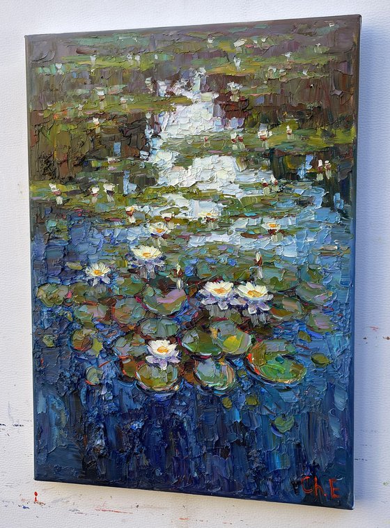 river with water lilies