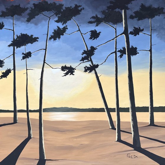 Pines at dusk