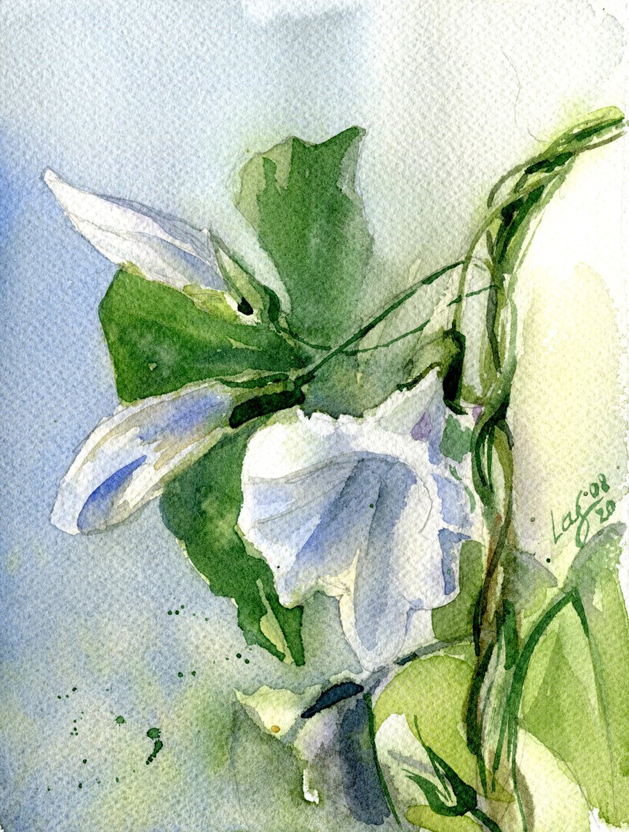 Impressionistic Botanical Watercolour By Svitlana Lagutina, 6 X 7", Morning Glory Grace, Original Artwork