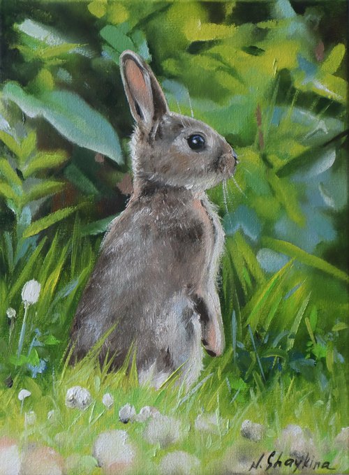 Bunny in green grass by Natalia Shaykina