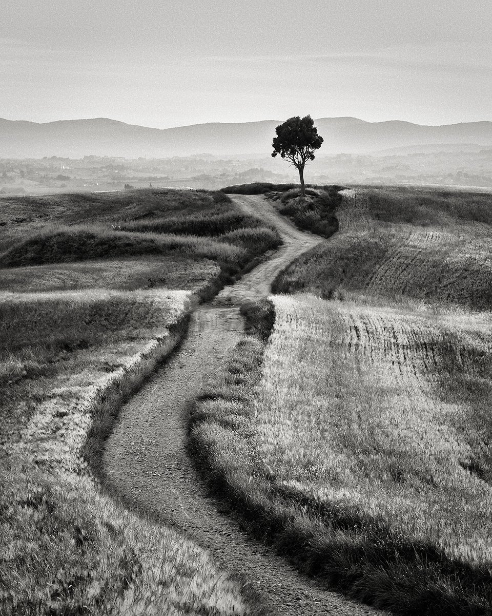 Photorealistic Landscape Photograph By Peter Zelei, 28 X 33", Countryside In Tuscany, Original Artwork