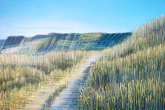 A Summer Sea Cliff Path