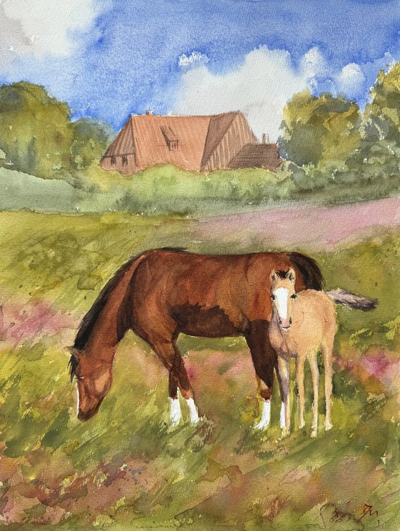 Horse and bub
