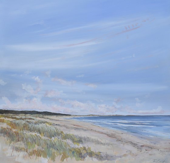 Holkham new dunes and view