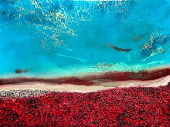 Aerial Australia - Shark Bay 2