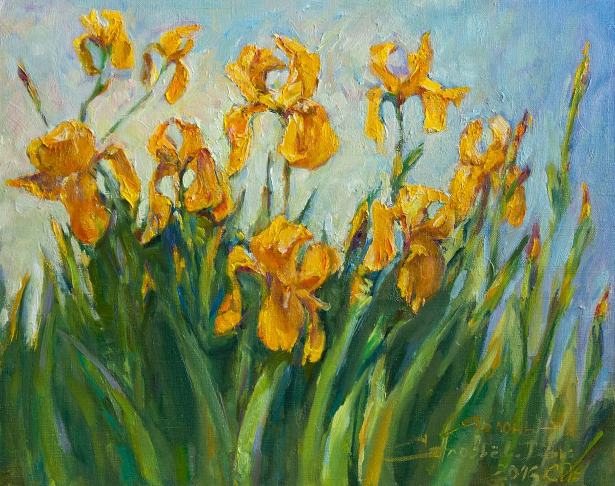 Wild yellow Irises 2016in 5040cm by Daria Yablon-Soloviova