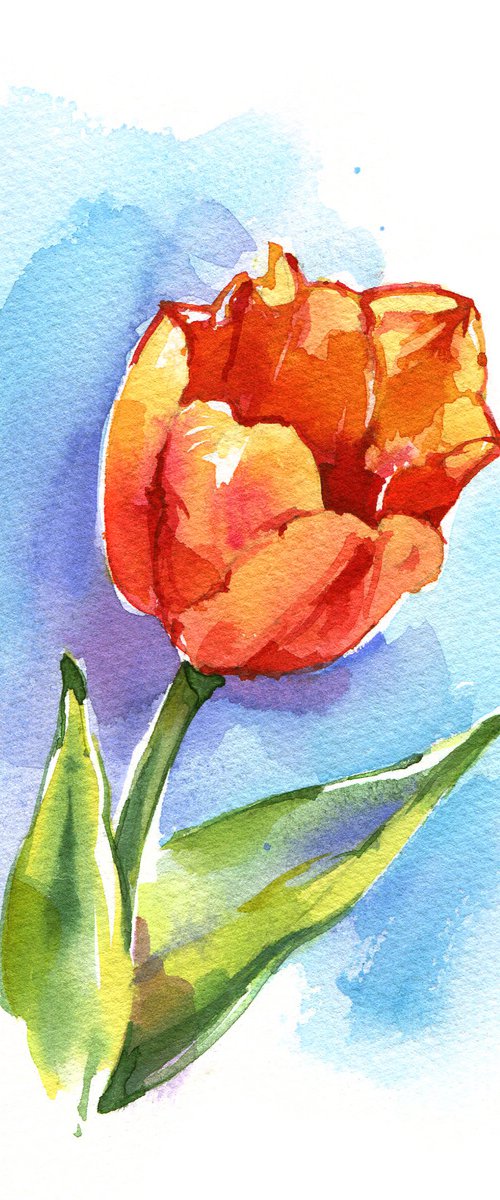 "Bright orange tulip" by Ksenia Selianko