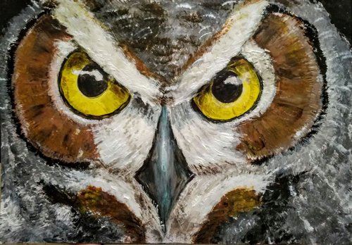Owl by Nektaria G