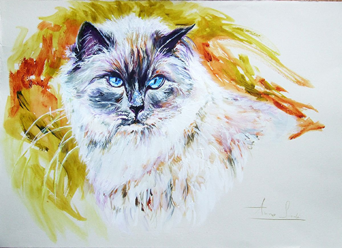Exotic - Portrait of a Cat by Anna Sidi-Yacoub