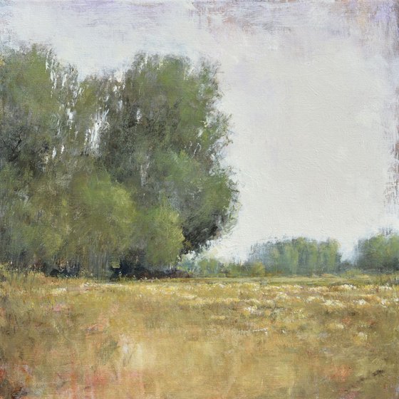 Afternoon Field 24x24 inches