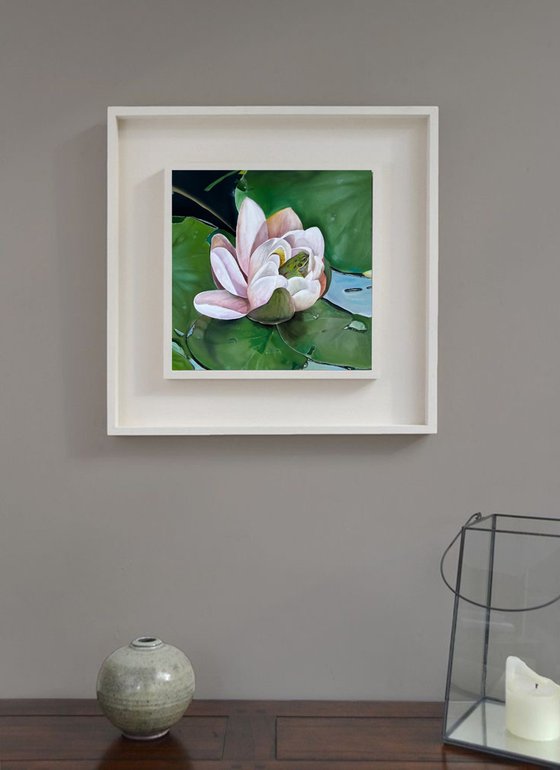 Frog and lotus