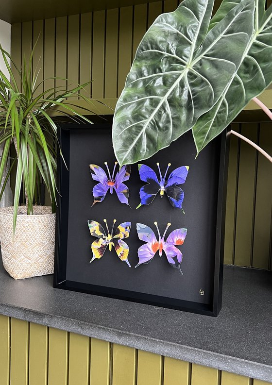 Flower Butterfly Box