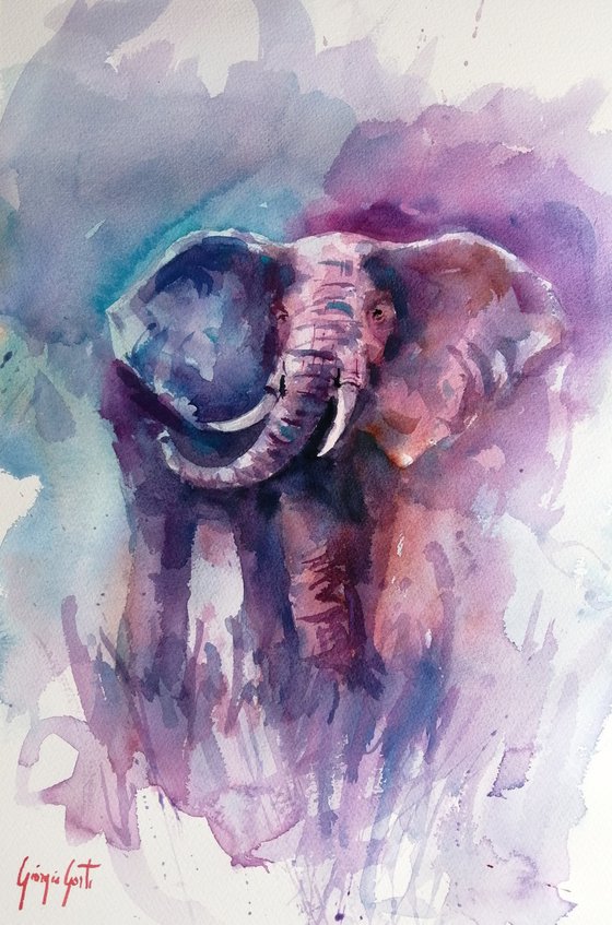 elephant 21