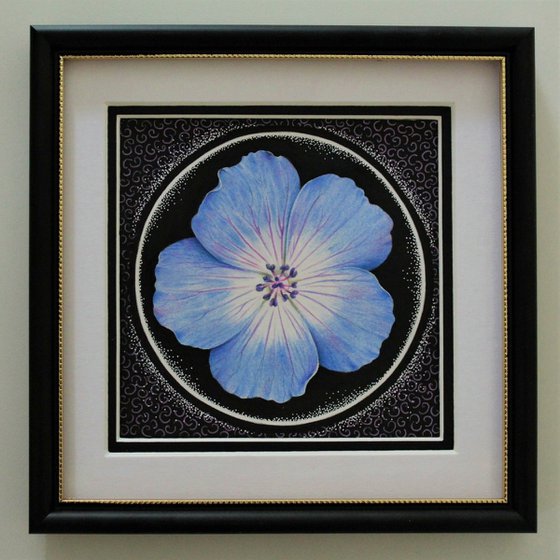 Geranium mandala