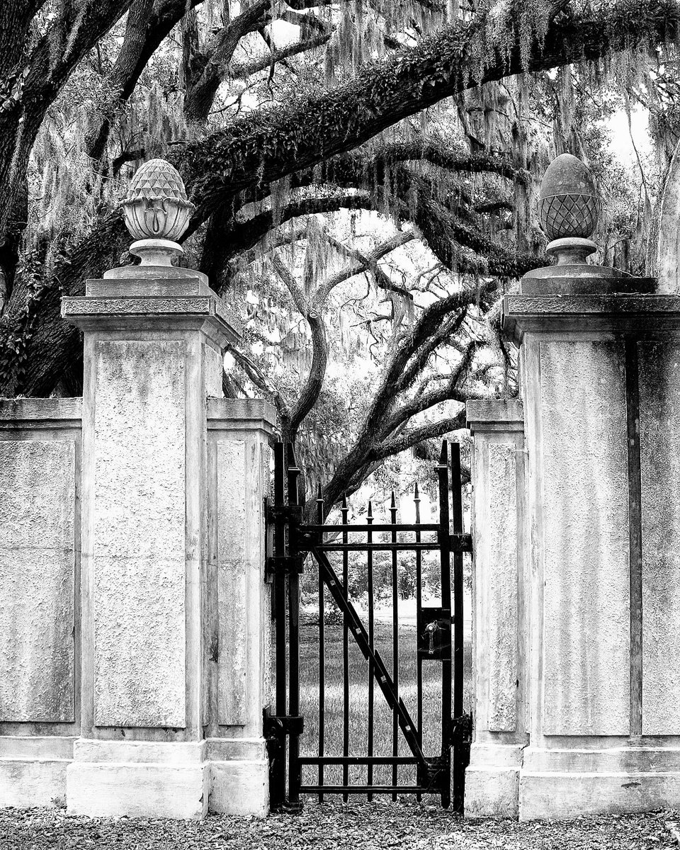 A CEMETERY TO REMEMBER Savannah GA by William Dey