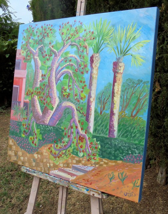 Coral tree in bloom SOLD