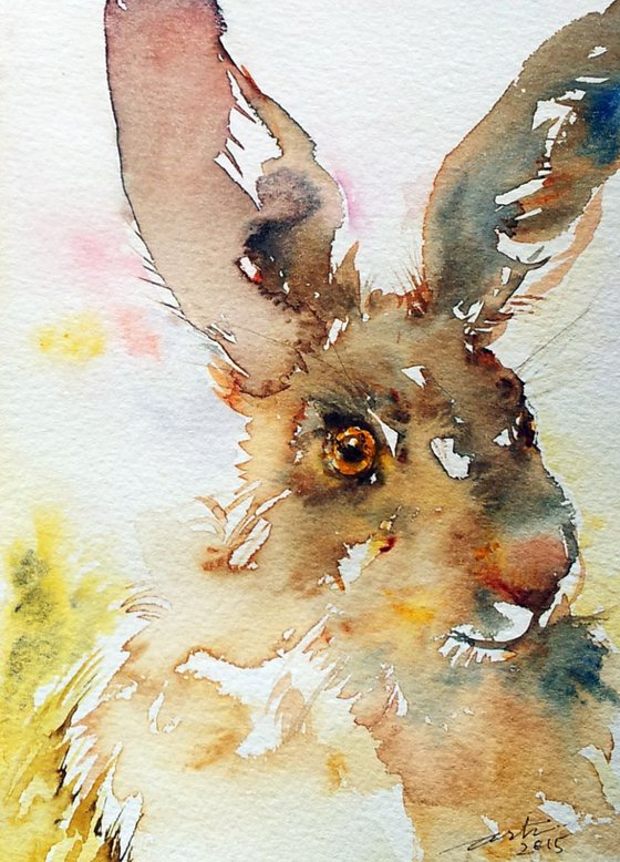 Spring Hare