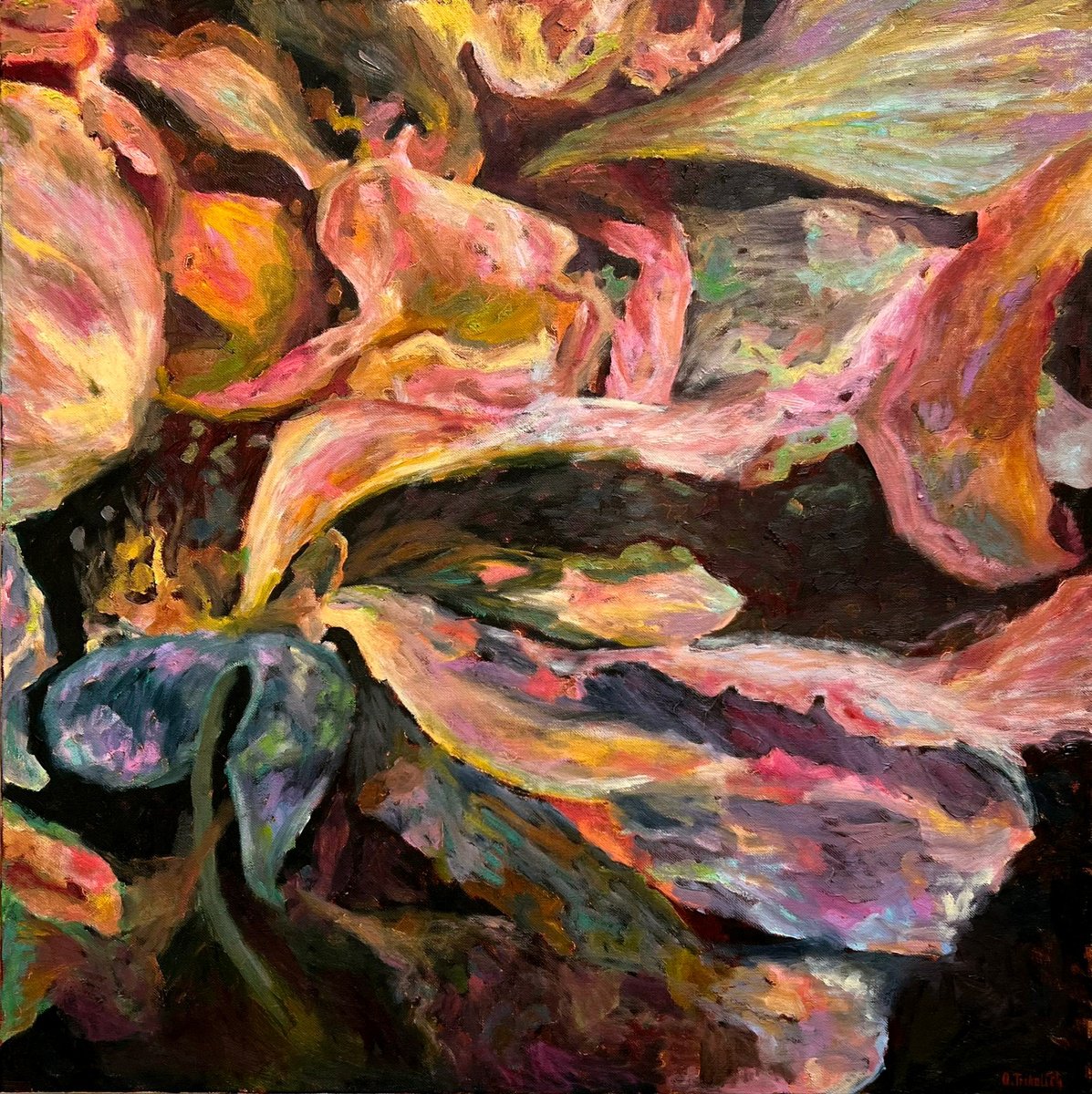 Abstract Oil Painting By Olha Trykolich, 28 X 28", Wildflowers #3, Original Artwork