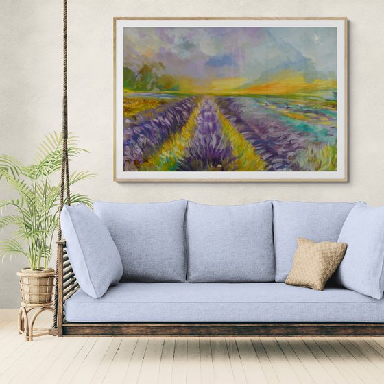 Lavender Fields 2025