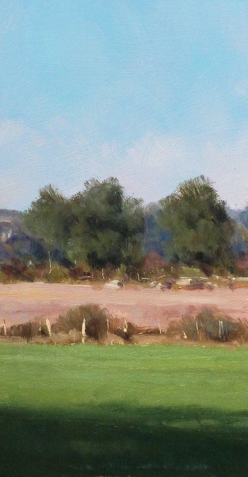 Bord de Loire by Pascal Giroud
