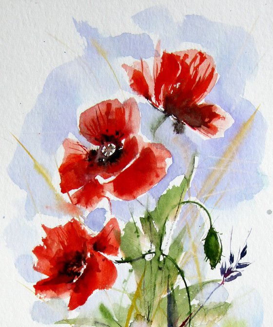 Playful poppies V