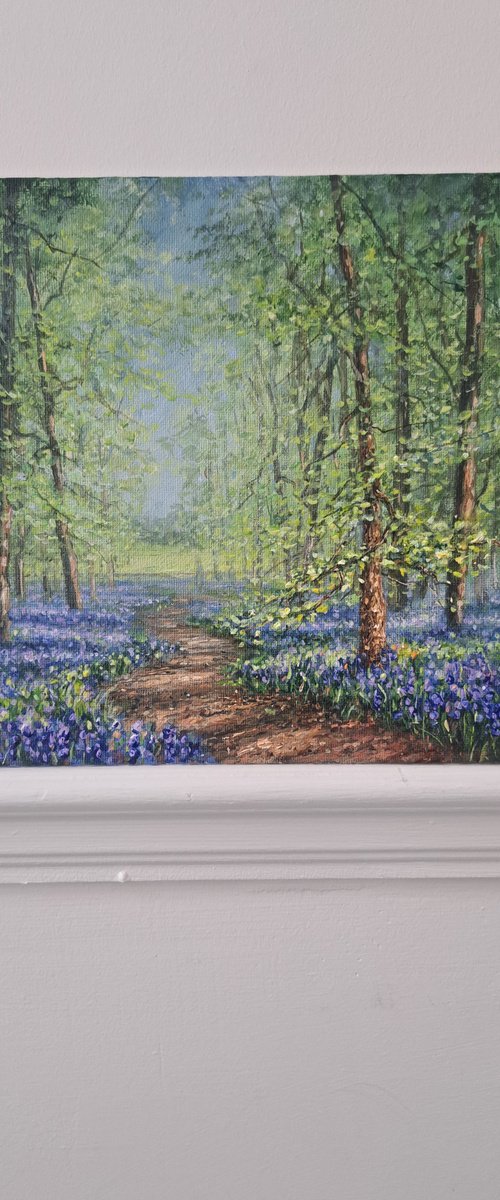 A Walk In The Bluebell Woods by Joseph  Charman