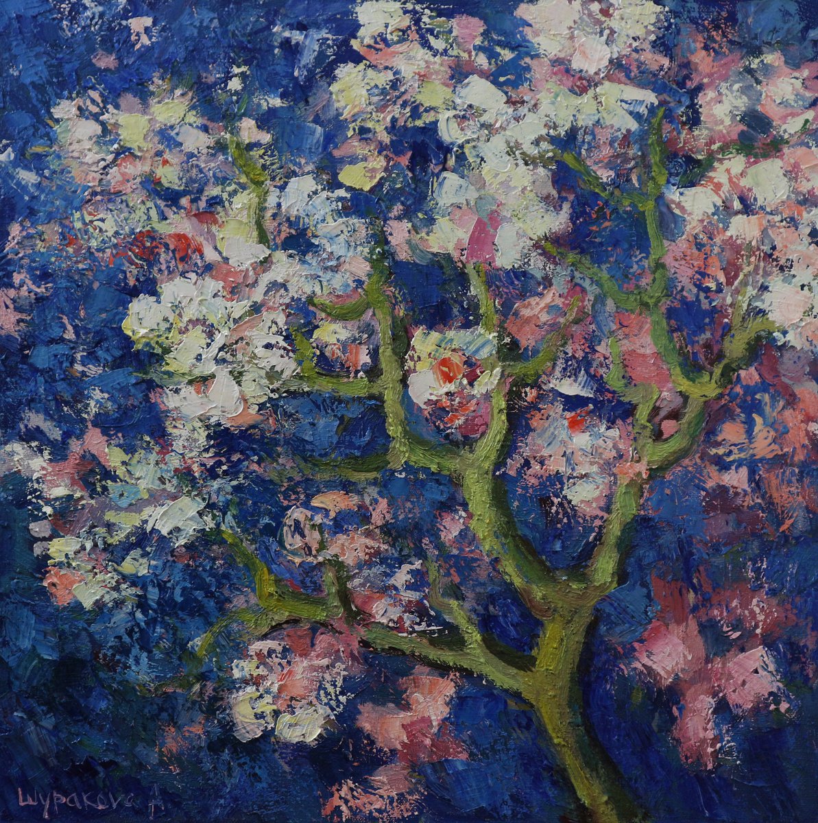 Cherry blossoms by Anna Shurakova