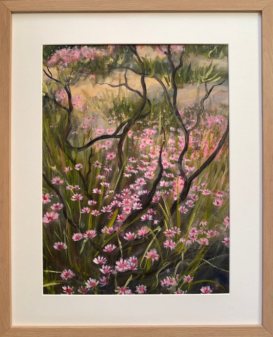 Pink bushfire ephemerals II