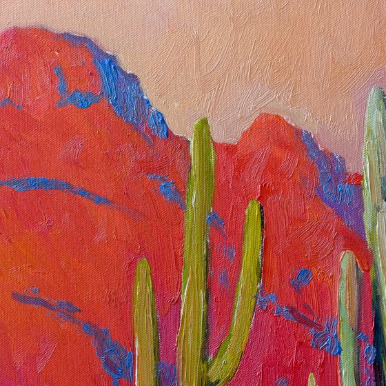 Evening. Saguaro Cactuses