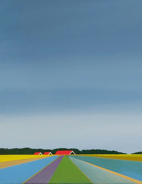 Colourful fields (3)