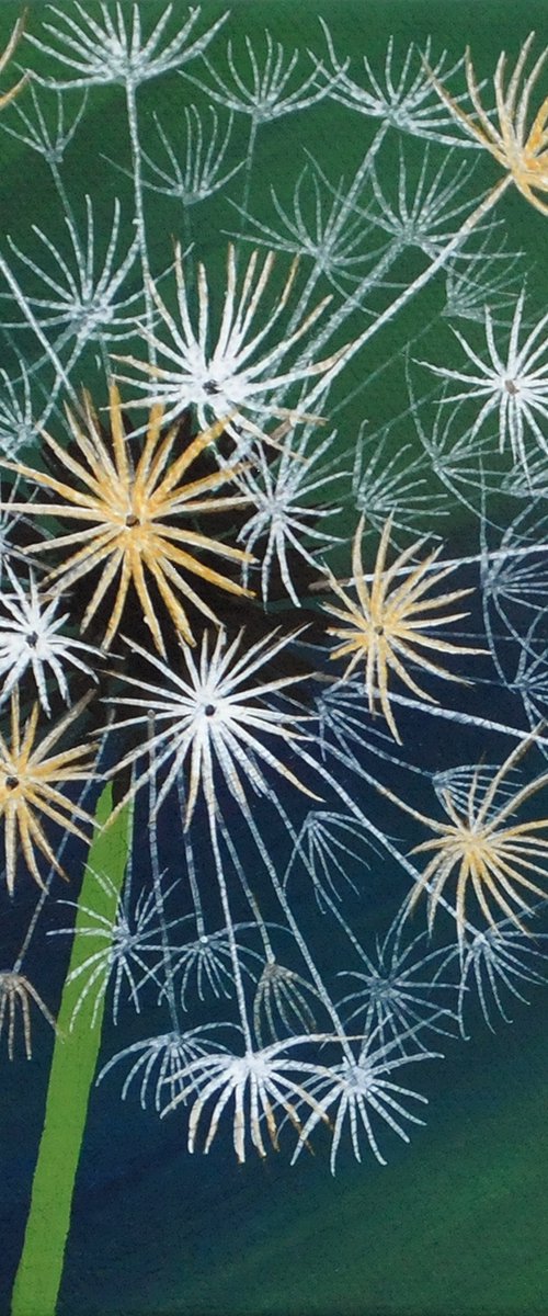 Wild Star by Theresa Shaw