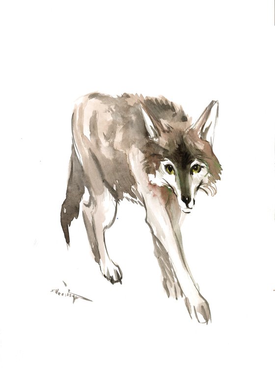 Wolf