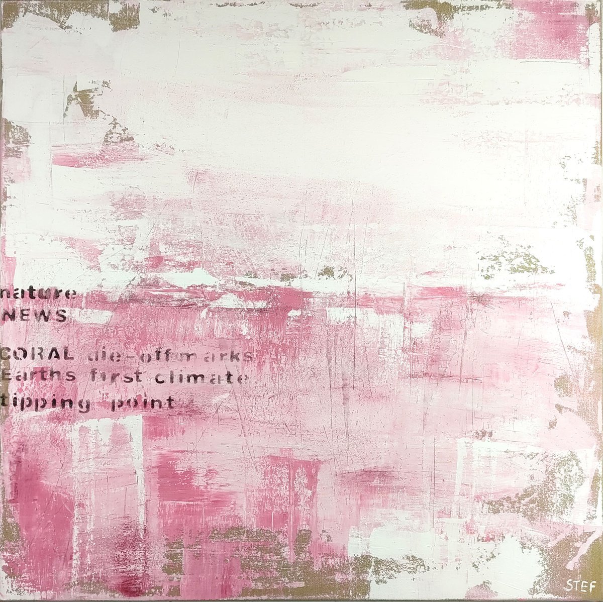 Coral #2 By Stefanie Rogge, 39 X 39, Artwork For Sale On Artfinder